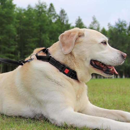 Joytale Martingale Dog Collar - Reflective Escape-Proof Nylon Collar with Safety Buckle, Black, Large