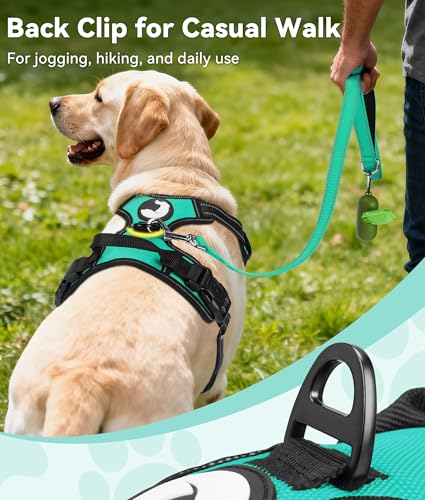 Joytale Medium Dog Harness Teal – No Pull Reflective Padded Vest with Front and Back Clips for Training and Walking