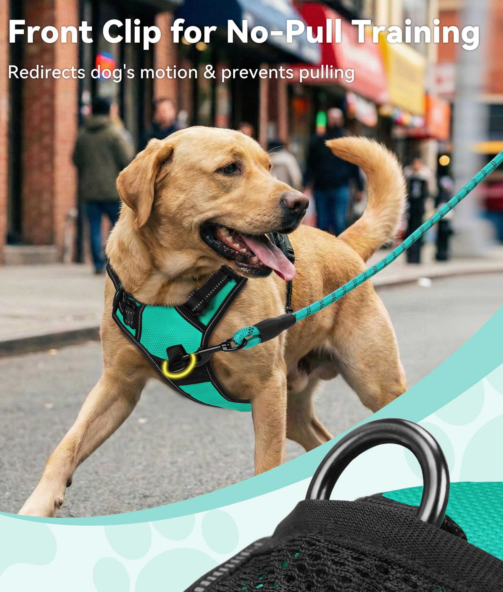 Joytale Medium Dog Harness Teal – No Pull Reflective Padded Vest with Front and Back Clips for Training and Walking