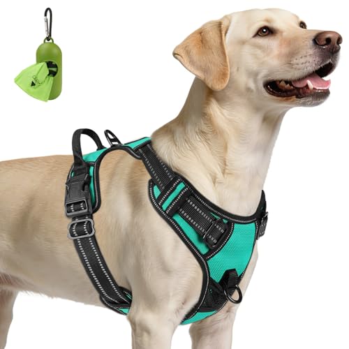 Joytale No Pull Dog Harness for Large Dogs - Reflective, Adjustable, Teal