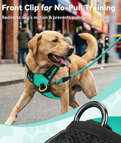 Joytale No Pull Dog Harness for Large Dogs - Reflective, Adjustable, Teal