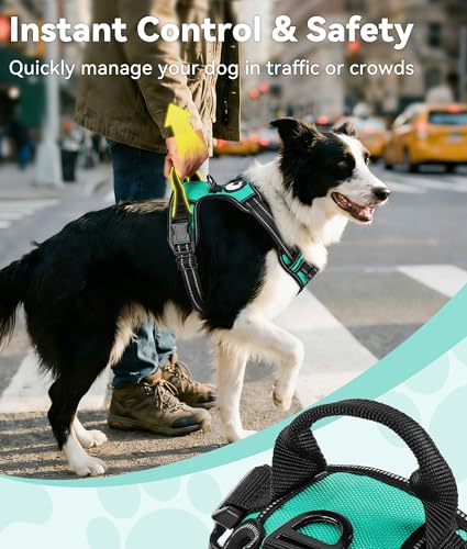 Joytale No Pull Dog Harness for Large Dogs - Reflective, Adjustable, Teal