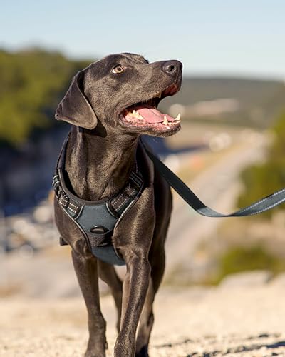 Joytale No Pull Dog Harness for Small Dogs - Reflective Vest with Front & Back Clips, Adjustable Padded, Gray, S