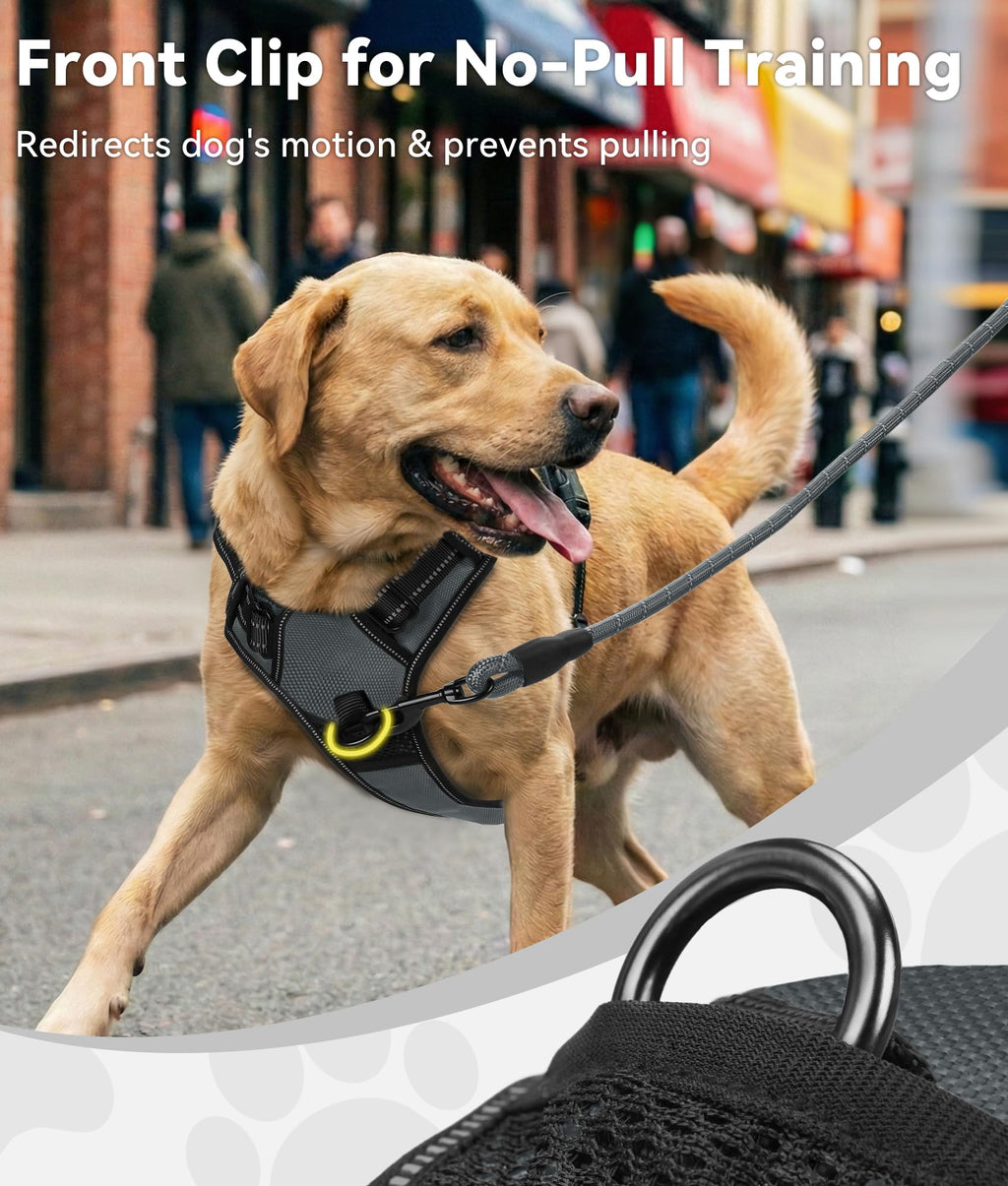 Joytale No Pull Dog Harness for Small Dogs - Reflective Vest with Front & Back Clips, Adjustable Padded, Gray, S