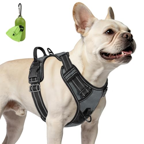Joytale No Pull Dog Harness for Small Dogs - Reflective Vest with Front & Back Clips, Adjustable Padded, Gray, S