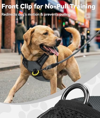 Joytale No Pull Dog Harness for Small Dogs - Reflective Vest with Front & Back Clips, Adjustable Padded, Gray, S