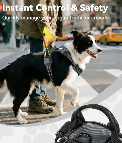 Joytale No Pull Dog Harness for Small Dogs - Reflective Vest with Front & Back Clips, Adjustable Padded, Gray, S