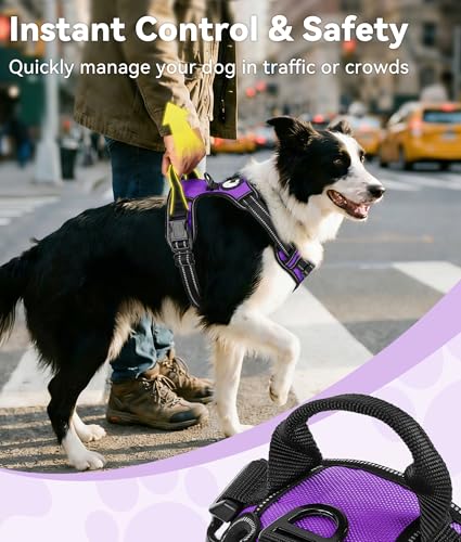 Joytale No Pull Dog Harness Medium Purple - Reflective Vest with Front Clip & Handle for Training and Walking