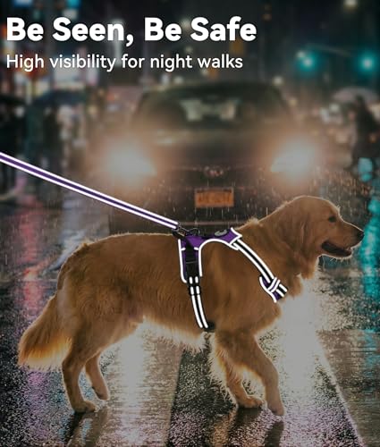 Joytale No Pull Dog Harness Medium Purple - Reflective Vest with Front Clip & Handle for Training and Walking