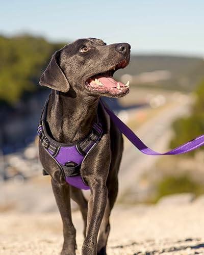 Joytale No Pull Dog Harness Medium Purple - Reflective Vest with Front Clip & Handle for Training and Walking