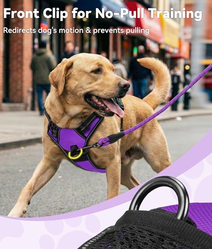 Joytale No Pull Dog Harness Medium Purple - Reflective Vest with Front Clip & Handle for Training and Walking