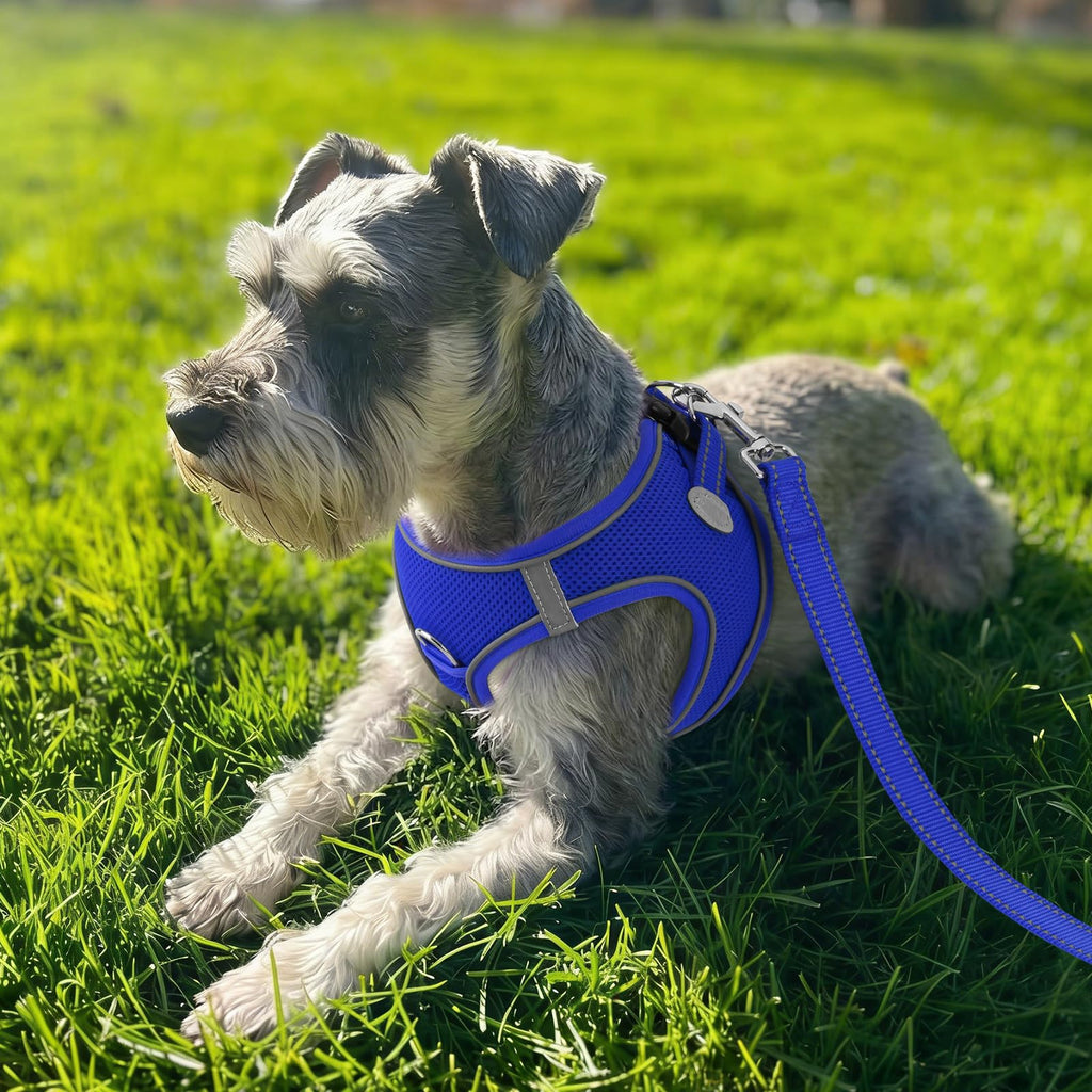 Joytale Small Dog Harness, Step-in Reflective Mesh Vest, Navy Blue, Size L