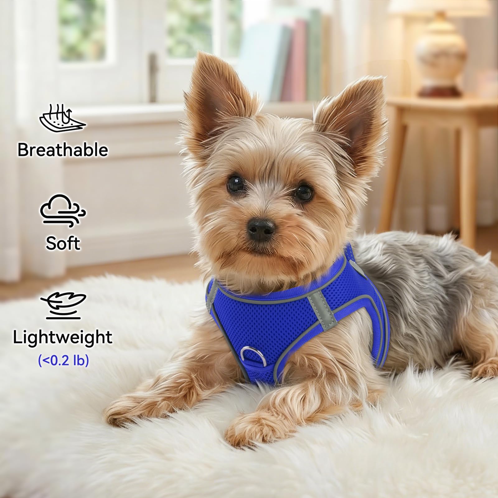 Joytale Small Dog Harness, Step-in Reflective Mesh Vest, Navy Blue, Size L