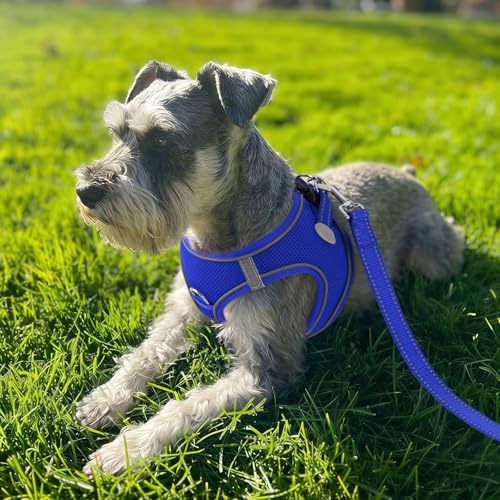 Joytale Small Dog Harness, Step-in Reflective Mesh Vest, Navy Blue, Size L