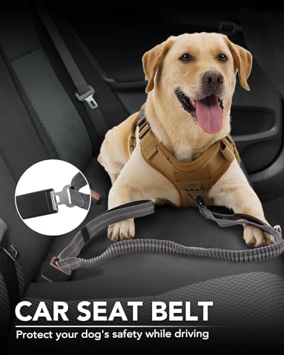 Joytale Tactical Dog Leash Heavy Duty 4-6FT Shock Absorbing Bungee with Dual Handles and Car Seatbelt, Gray