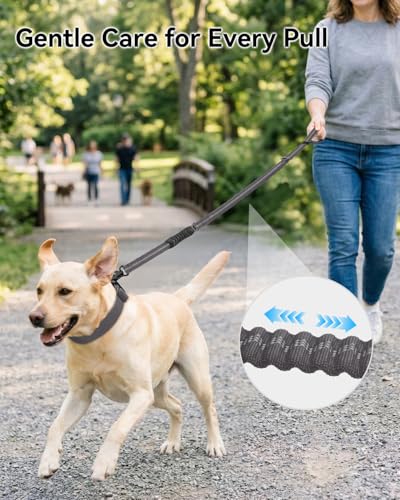 Joytale Tactical Dog Leash Heavy Duty 4-6FT Shock Absorbing Bungee with Dual Handles and Car Seatbelt, Gray