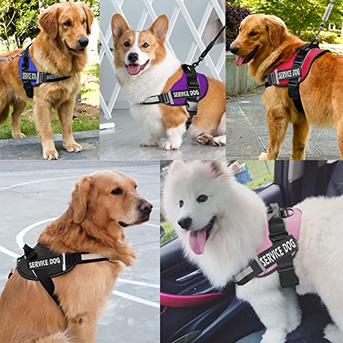 JSXD No-Pull Dog Harness – Adjustable Reflective Vest with Handle for Small, Medium, Large Dogs (Grey, Size L)