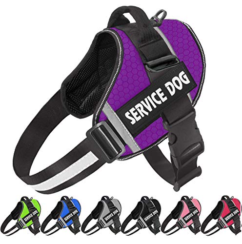 vimg::4