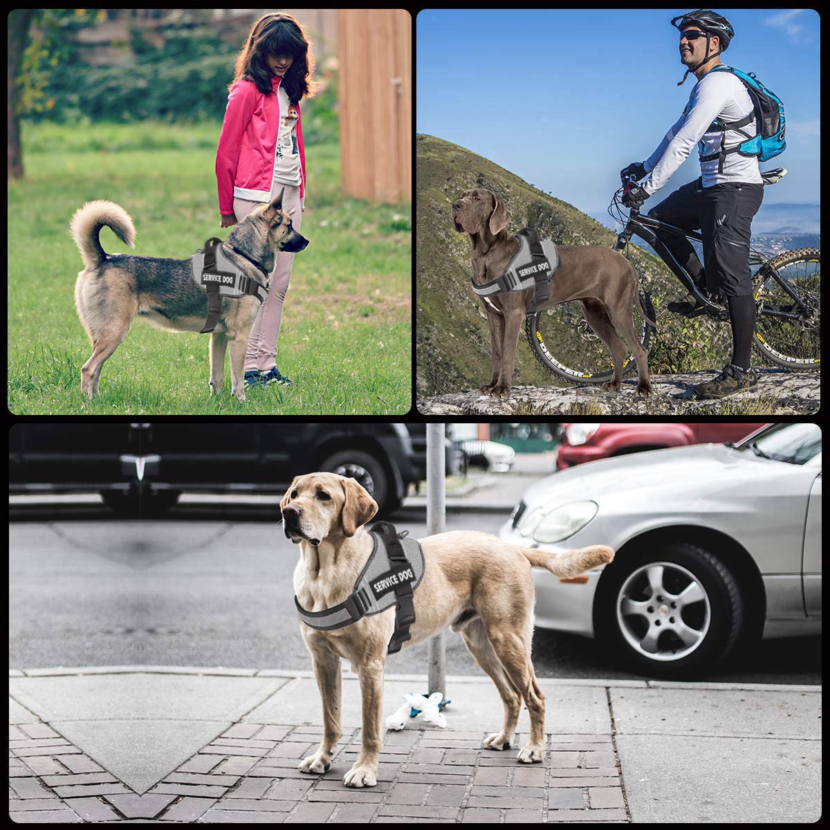 JSXD No-Pull Dog Harness – Adjustable Reflective Vest with Handle for Small, Medium, Large Dogs (Grey, Size L)