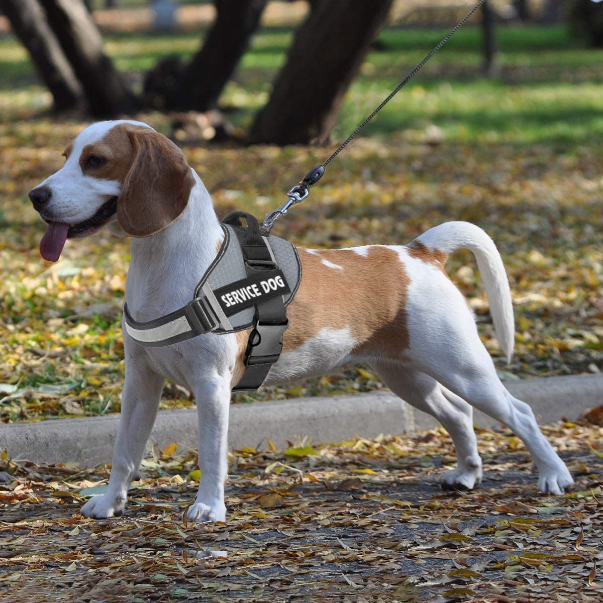JSXD No-Pull Dog Harness – Adjustable Reflective Vest with Handle for Small, Medium, Large Dogs (Grey, Size L)