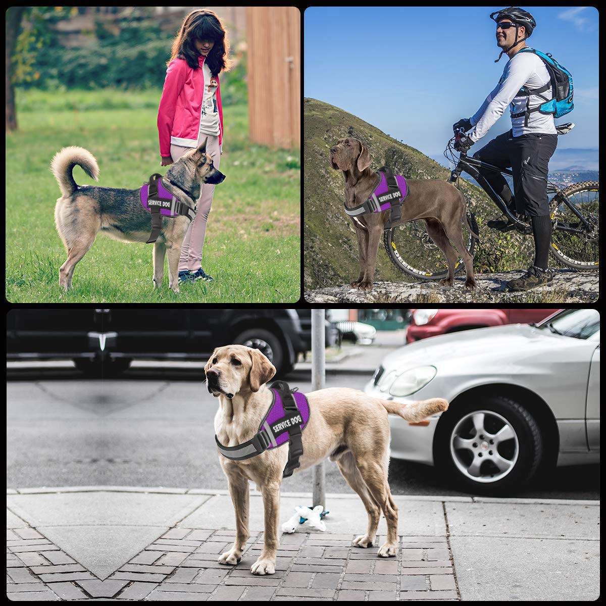 JSXD No-Pull Dog Harness with Handle, Adjustable 3M Reflective Nylon Vest for Small Dogs, Purple Size S