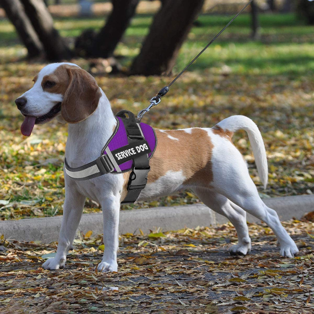 JSXD No-Pull Dog Harness with Handle, Adjustable 3M Reflective Nylon Vest for Small Dogs, Purple Size S