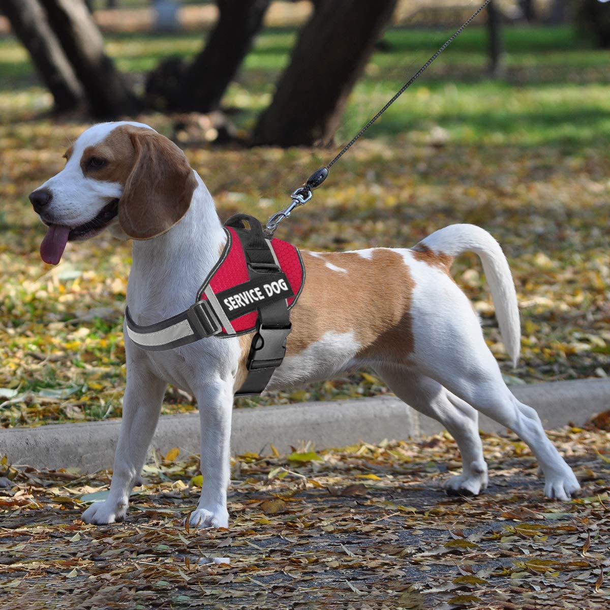 JSXD No-Pull Dog Harness with Handle – Adjustable Reflective Vest for Small to Large Dogs