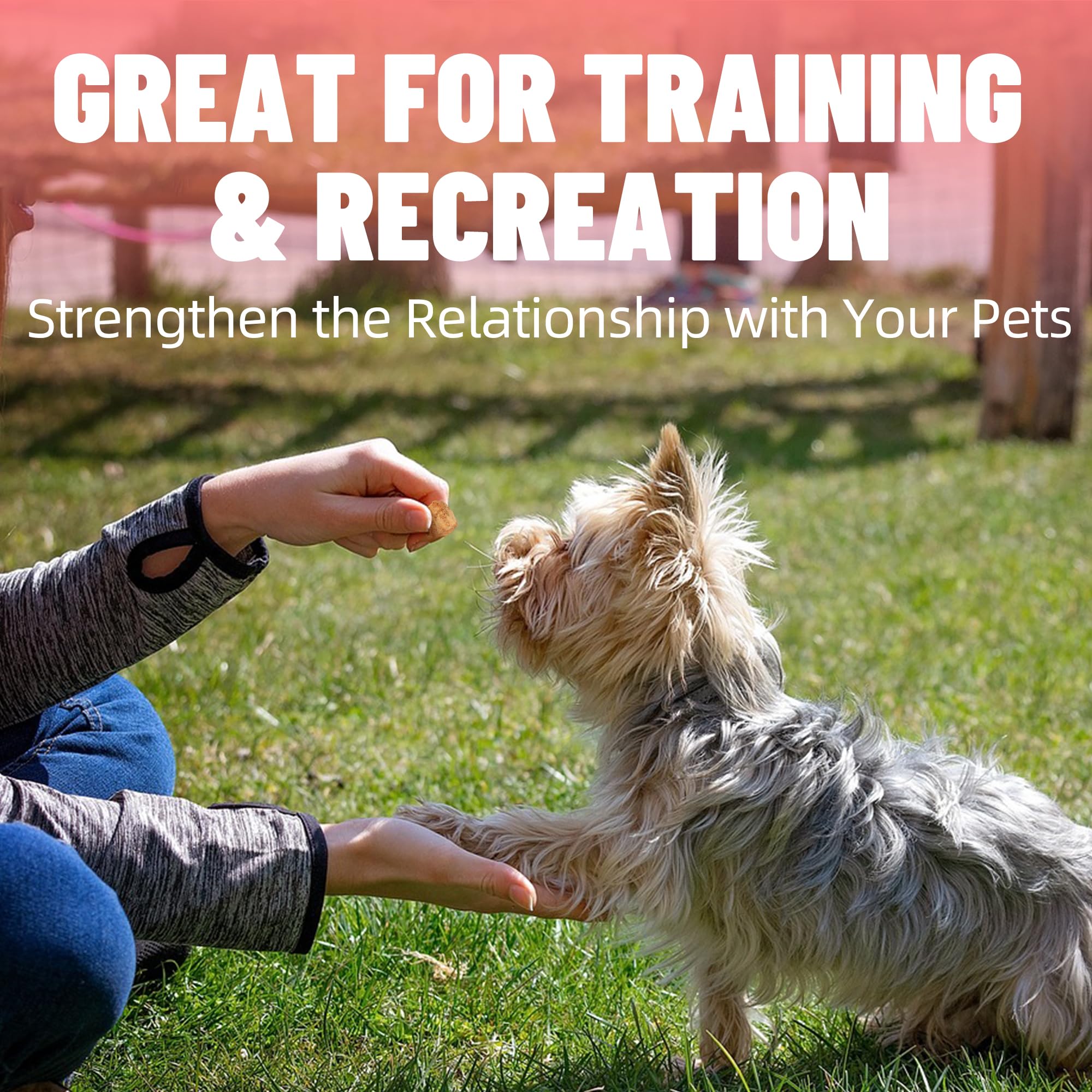 Just Try Freeze-Dried Salmon Treats for Dogs & Cats – 6.7 oz, Single Ingredient, High Protein