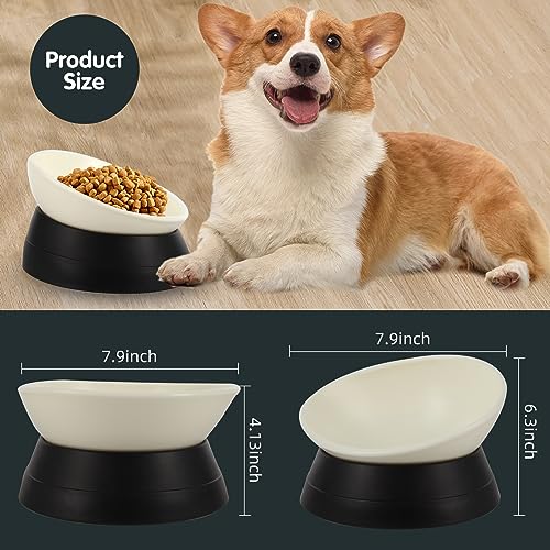 JWPC Anti-Slip Dog Bowl with Detachable Silicone Base – 3.5 Cup Tilted Resin Dish for Flat-Faced Breeds (Black)