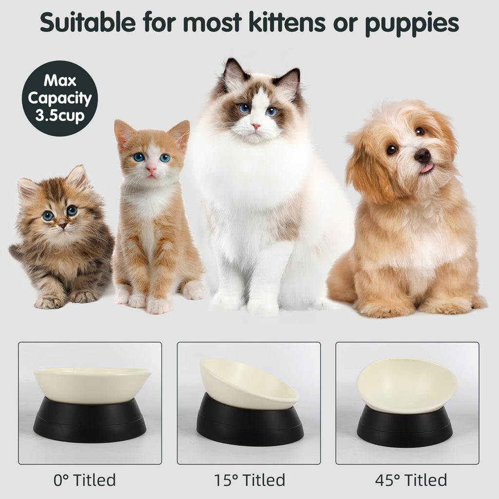 JWPC Anti-Slip Dog Bowl with Detachable Silicone Base – 3.5 Cup Tilted Resin Dish for Flat-Faced Breeds (Black)