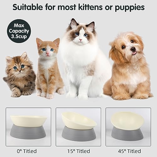 JWPC Anti-Slip Tilted Dog Bowl, Detachable Silicone Base, 3.5 Cup Capacity for Medium/Large Dogs (Grey)