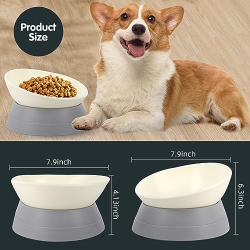 JWPC Anti-Slip Tilted Dog Bowl, Detachable Silicone Base, 3.5 Cup Capacity for Medium/Large Dogs (Grey)