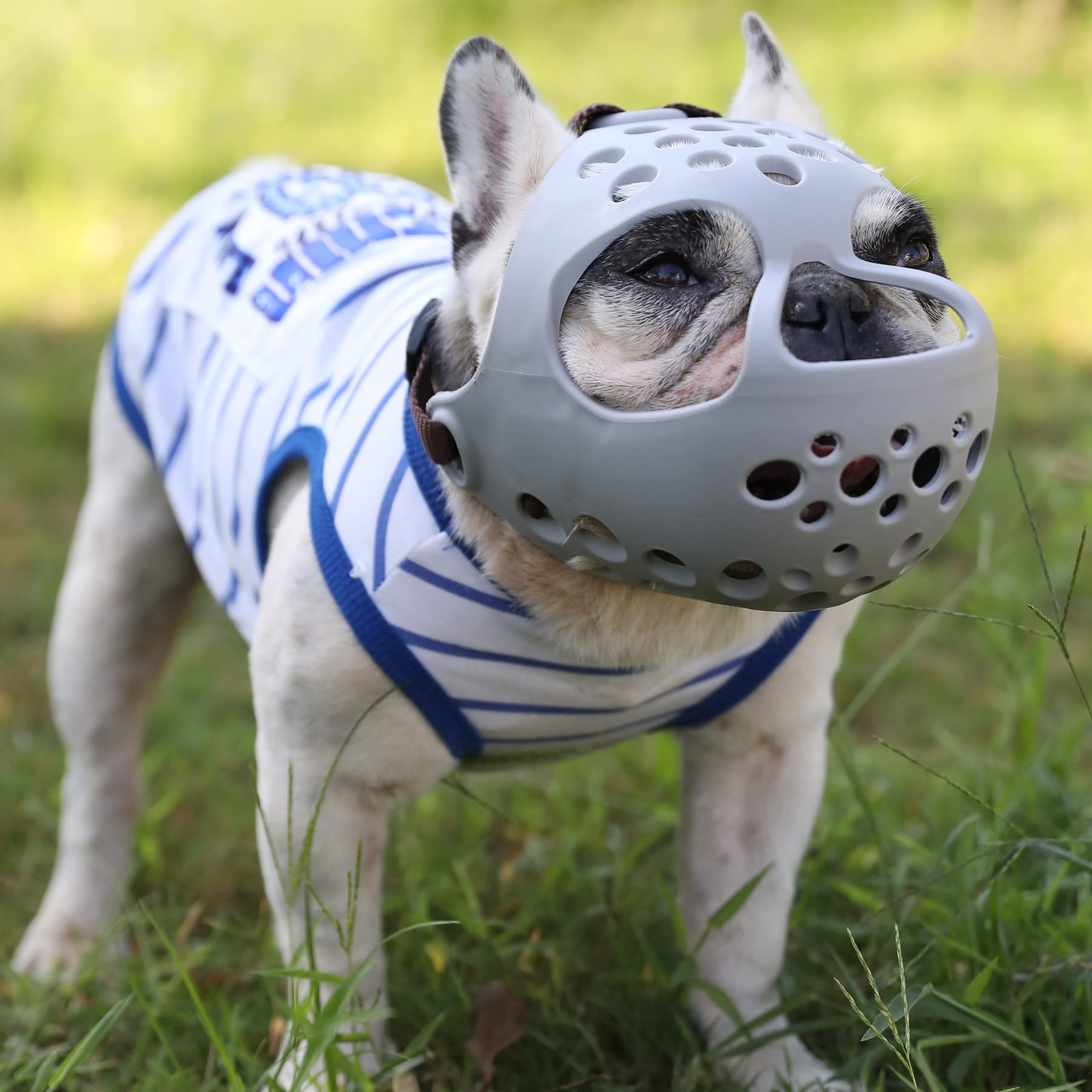 JYHY Soft Silicone Muzzle for Flat-Faced Dogs – Grey, Medium (13-15 Inch)