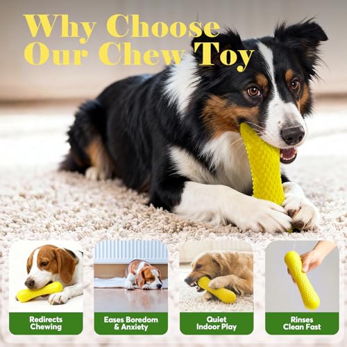 Kimee Natural Rubber Dog Chew Toy – Solid Bone Shape for Moderate Chewers, Milk-Scented, Non-Toxic, for Medium & Large Dogs (25–90 lbs)