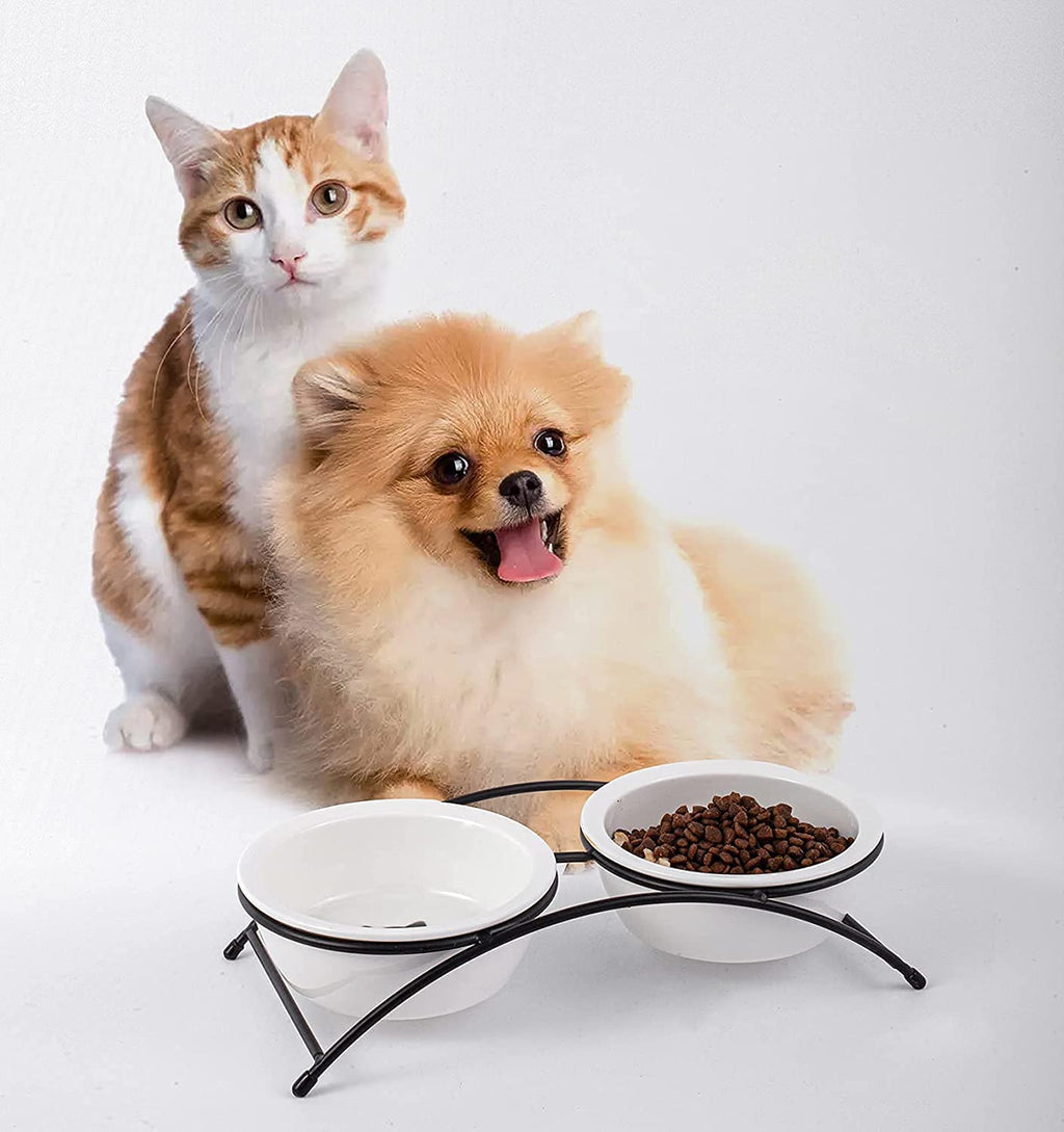 KITCHENLESTAR Ceramic Elevated Pet Bowls – 12 oz Raised Cat Food Dish with Non-Slip Stand, Dishwasher Safe