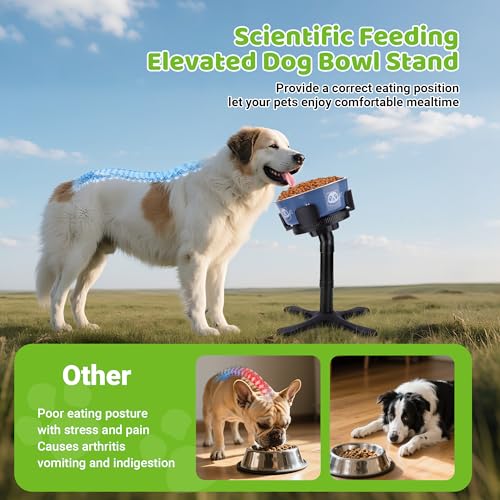 KMXASP Adjustable Elevated Dog Bowl Stand with 15° Tilt, 3 Heights, Width Adjustable, Anti-Slip Base for Medium & Large Dogs (Black, 1 Pack)