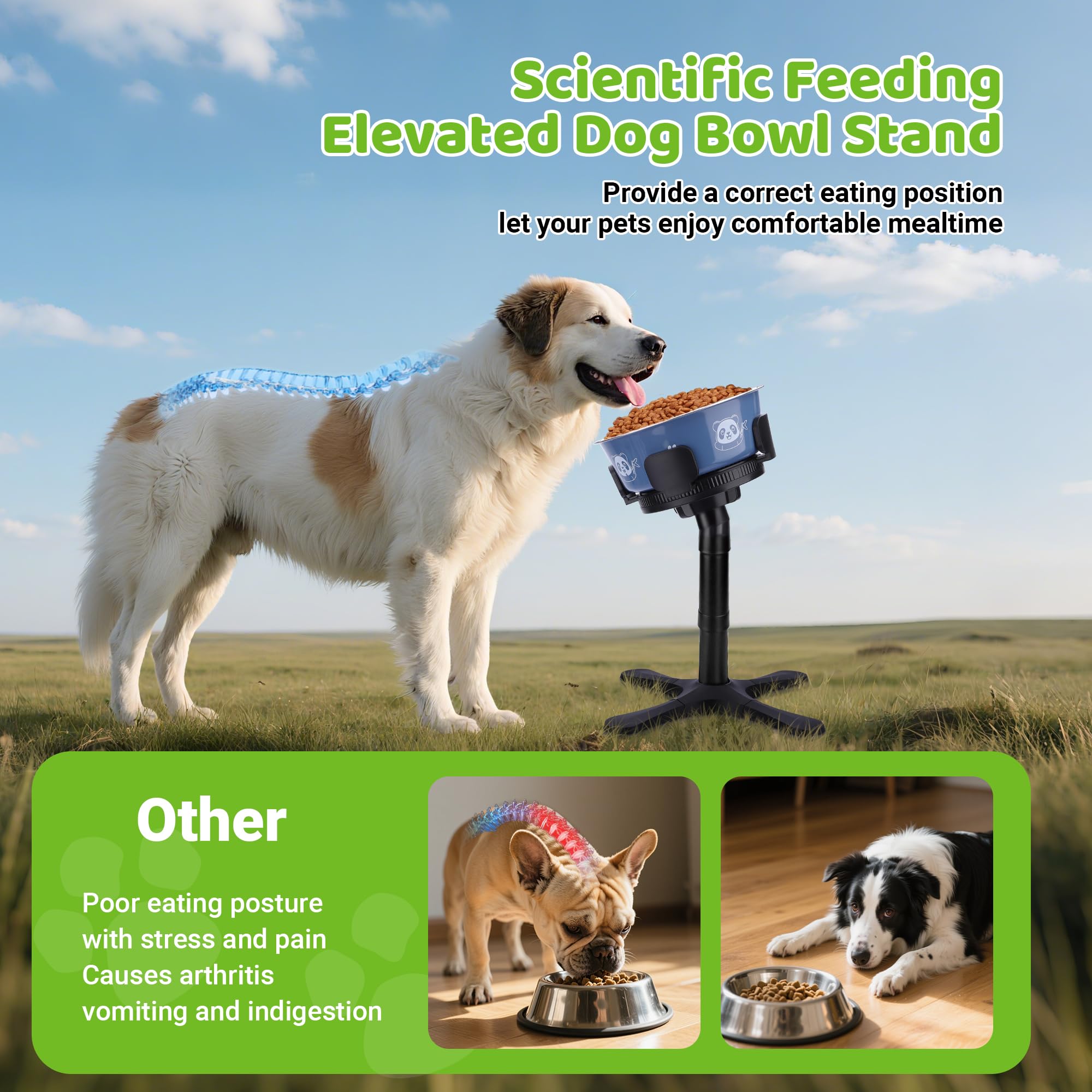 KMXASP Adjustable Elevated Dog Bowl Stand with 15° Tilt, 3 Heights, Width Adjustable, Anti-Slip Base for Medium & Large Dogs (Black, 1 Pack)