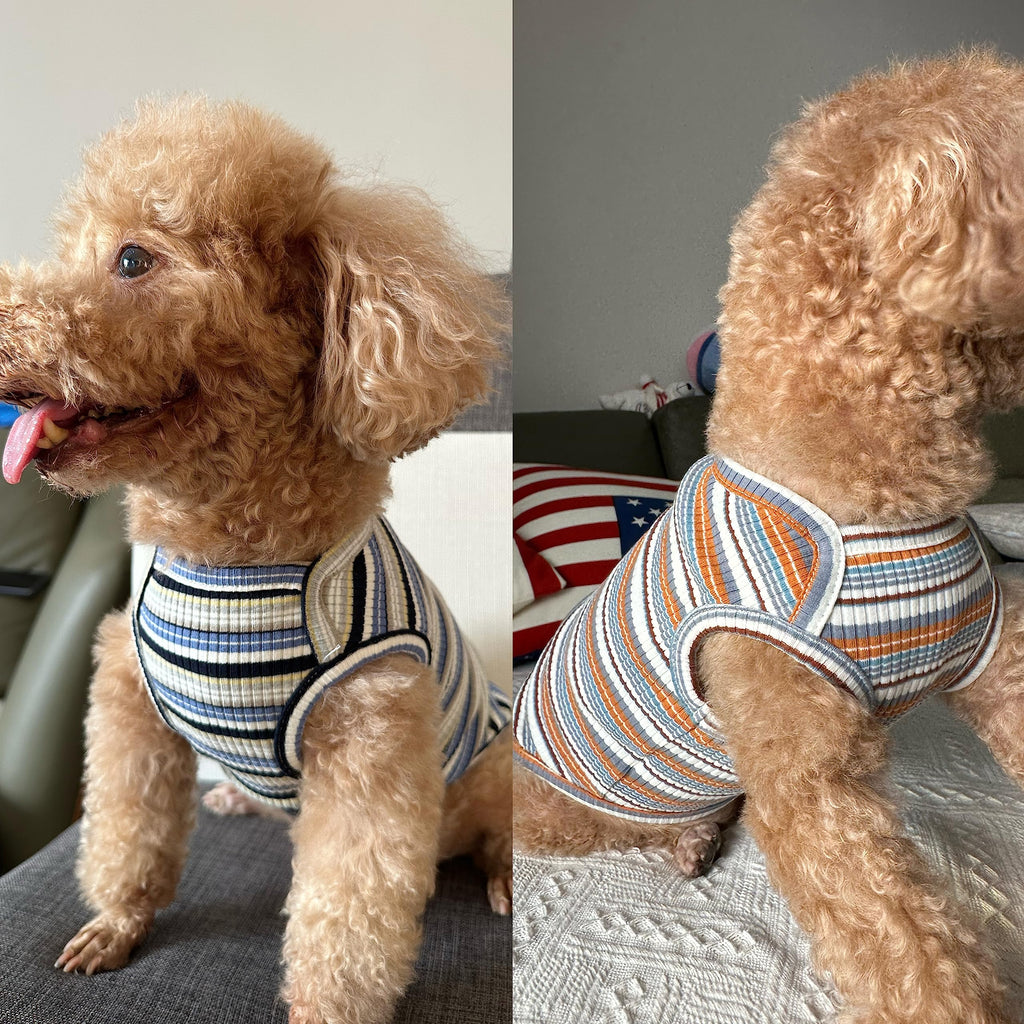 Knuffelen 2-Pack Cotton Striped Dog Shirts - Sleeveless Stretchy Tank Tops for Small Dogs, XX-Large Blue/Yellow