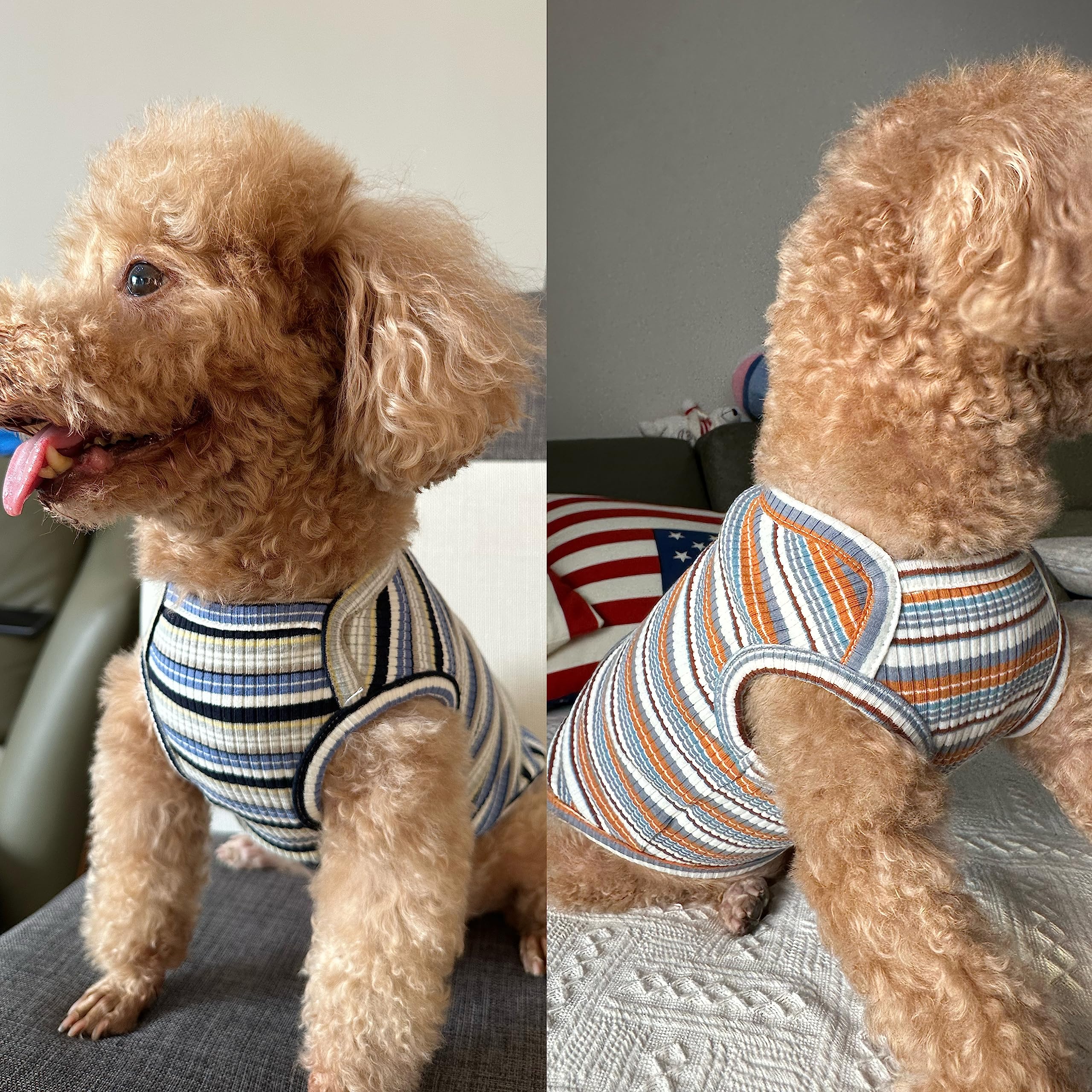 Knuffelen 2-Pack Cotton Striped Dog Shirts - Sleeveless Stretchy Tank Tops for Small Dogs, XX-Large Blue/Yellow