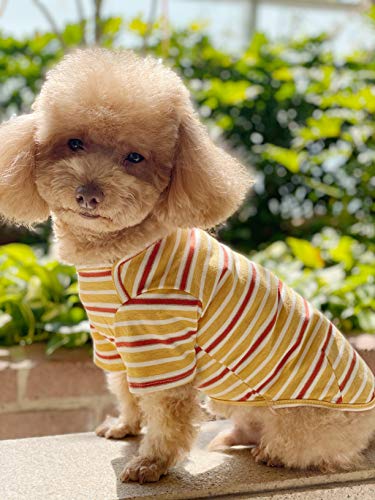 Knuffelen 2-Pack Striped Cotton Dog Shirts for Small Dogs – Blue Yellow Stripes, Size XL