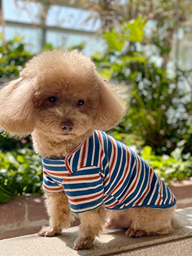Knuffelen 2-Pack Striped Cotton Dog Shirts for Small Dogs – Blue Yellow Stripes, Size XL