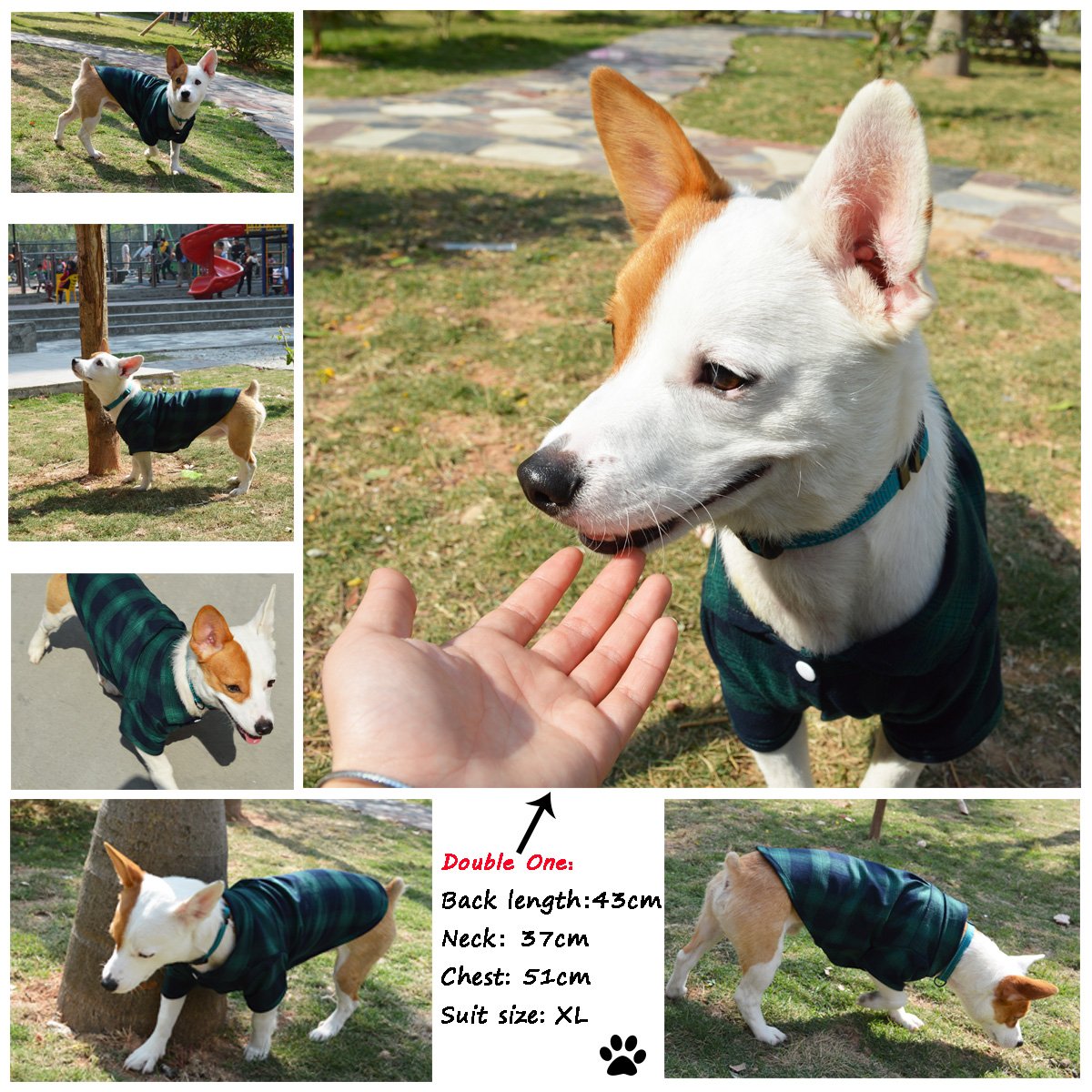 Koneseve Plaid Dog Shirt for Small Dogs - XS Size, Cotton, Snaps Closure