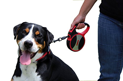 KONG Terrain Retractable Dog Leash, Small, Red, 16 ft - Soft Grip Handle, Reflective Stitching