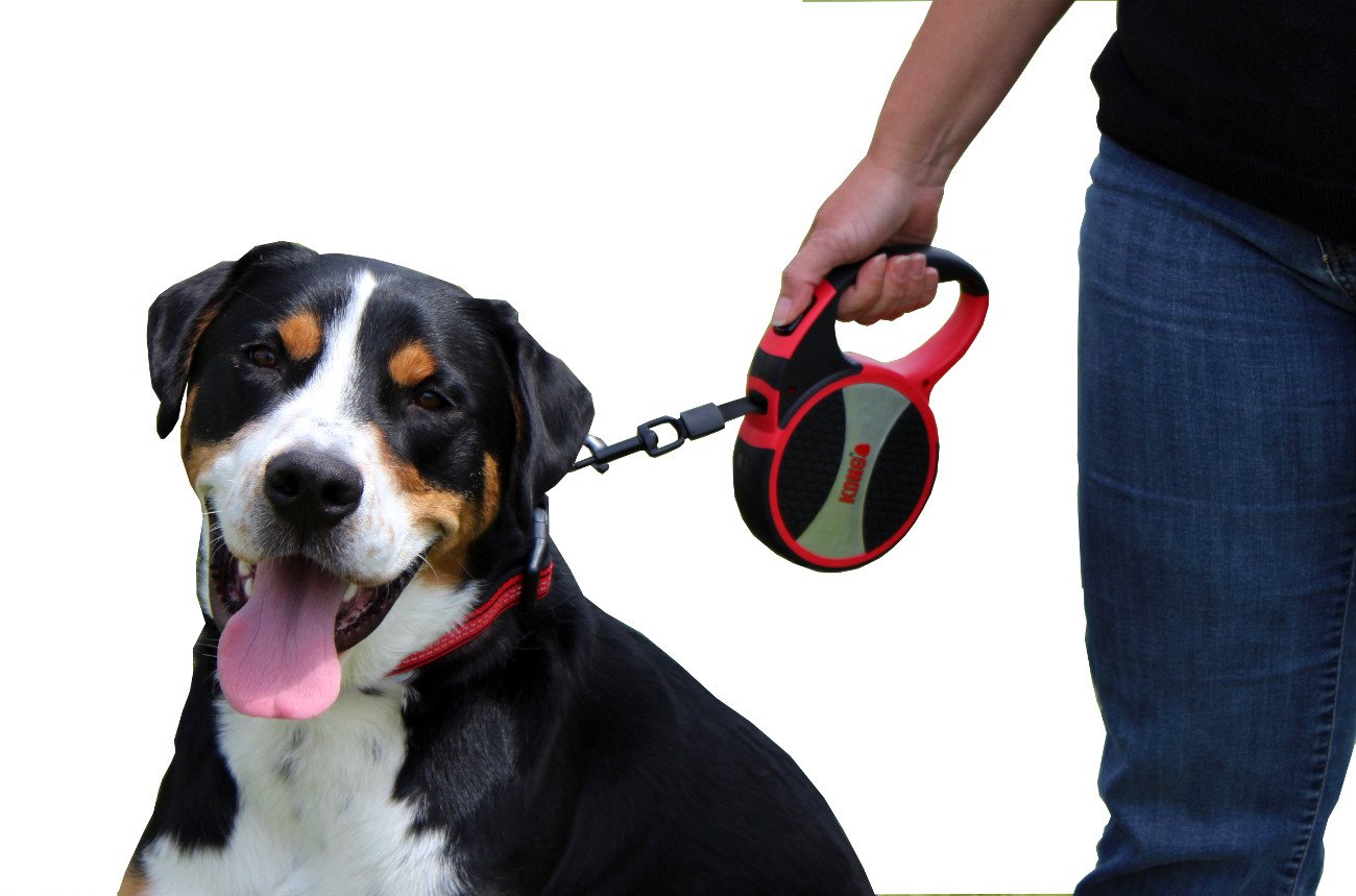 KONG Terrain Retractable Dog Leash, Small, Red, 16 ft - Soft Grip Handle, Reflective Stitching