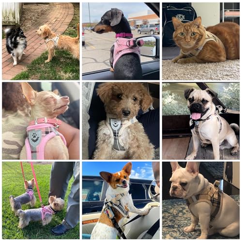 KOOLTAIL Dog Harness and Leash Set for Medium Large Dogs – Step-in No-Pull Soft Mesh Vest with Reflective Strips
