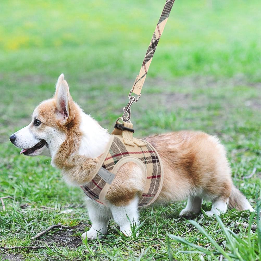 KOOLTAIL Dog Harness and Leash Set for Medium Large Dogs – Step-in No-Pull Soft Mesh Vest with Reflective Strips