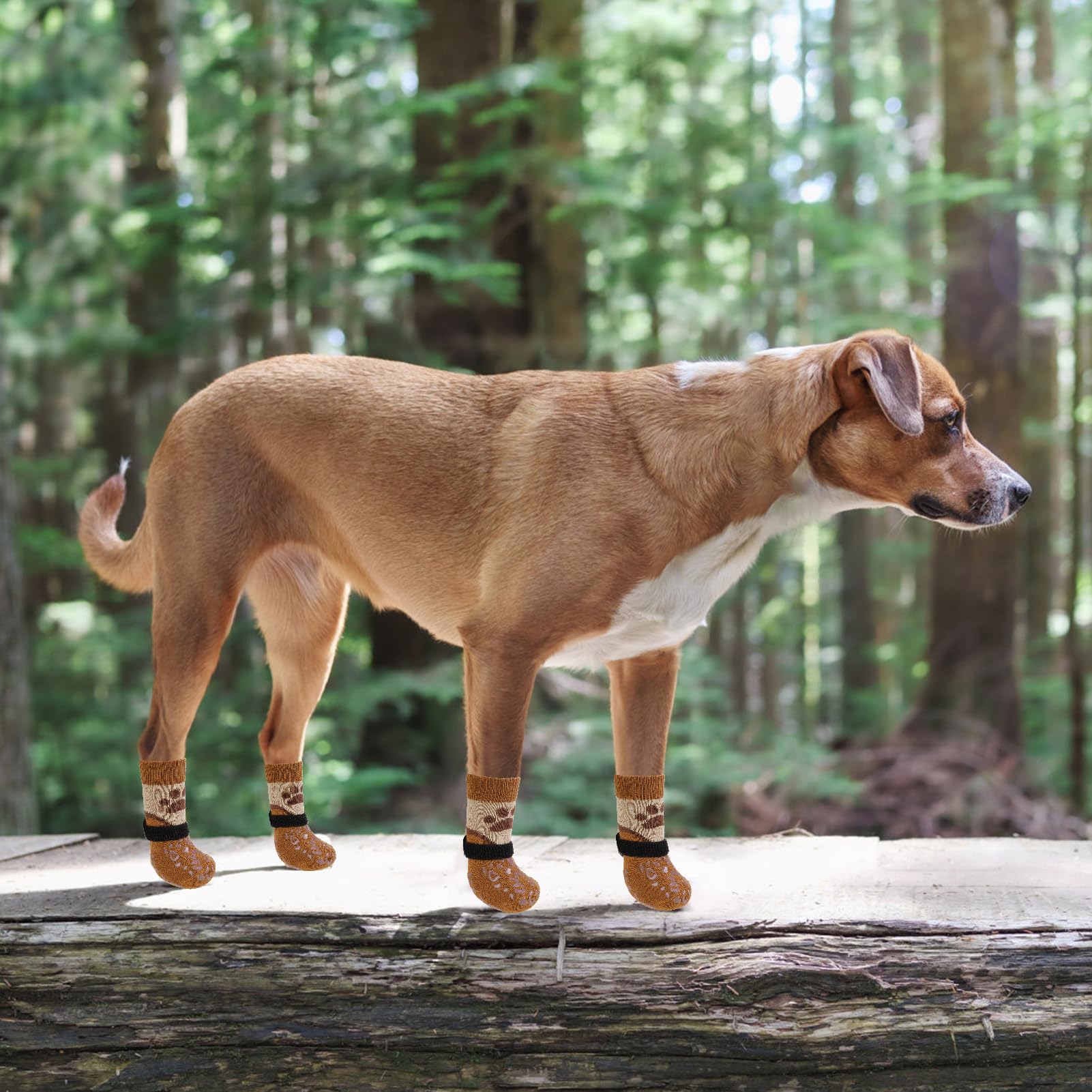 KOOLTAIL Dog Socks - Non-Slip, Breathable Paw Protectors for Hot Pavement & Hardwood Floors (Medium, 4 Pack)