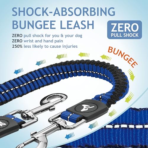 Kruz Double Dog Leash for Two Dogs – Large, Blue, 1" Wide, 20"-42" Adjustable with Reflective Bungee
