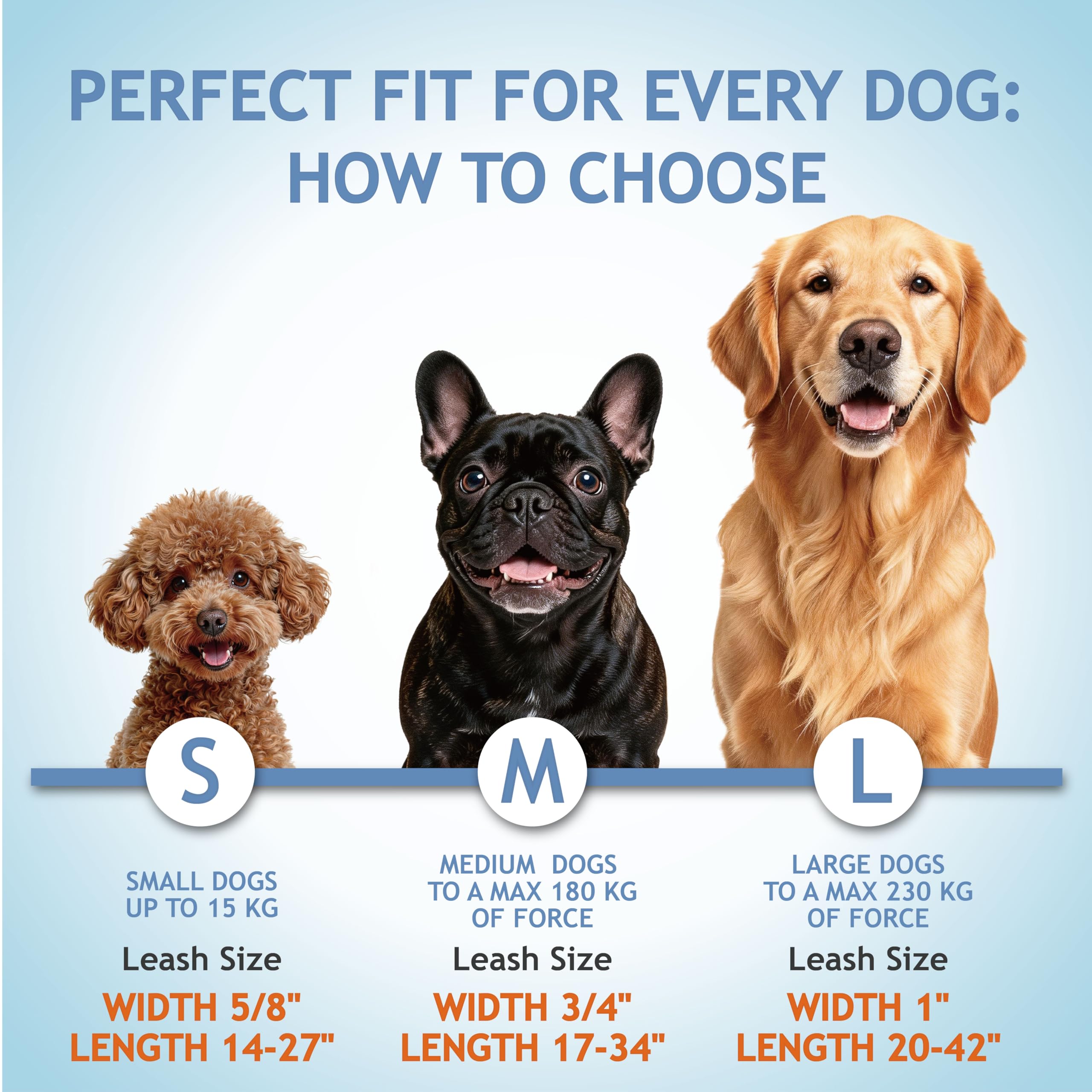 Kruz Double Dog Leash for Two Dogs – Large, Blue, 1" Wide, 20"-42" Adjustable with Reflective Bungee