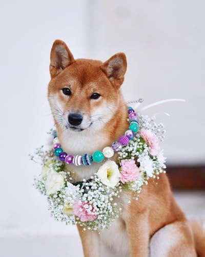 KUDES Bubblegum Dog Collar Necklace – Mermaid-Inspired Chunky Beads for Medium & Large Dogs
